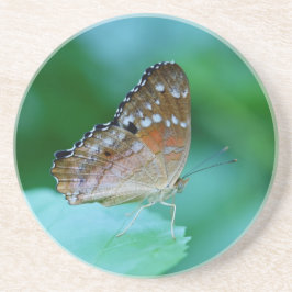 Porta-copos Linda Borboleta Danaus Plexippus na Folha.