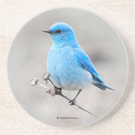 Porta-copos Linda Montanha Bluebird na Praia