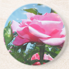 Porta-copos Linda rosa rosa rosa no céu azul. Fotografia flora