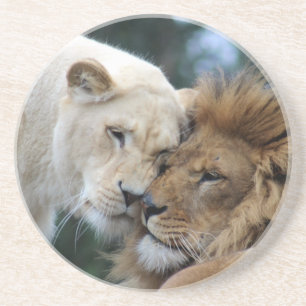 Porta-copos Lion e Lioness Nuzzling