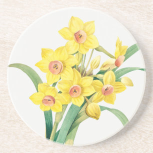 Porta-copos Lírio Sagrado Chinês, Pierre-Joseph Redouté, 