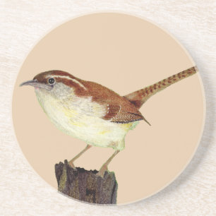 Porta-copos Little Wren