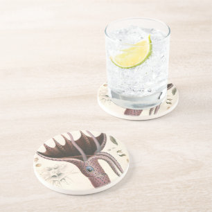 Porta-copos Lula Guarda-Chuva, Animais Marinhos Antigos