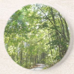 Porta-copos Luz do sol sobre o caminho florestal no Centennial