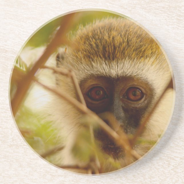 Porta-copos Macaco atrevido. (Frente)