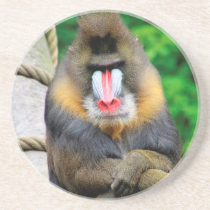Porta-copos Mandrill 001
