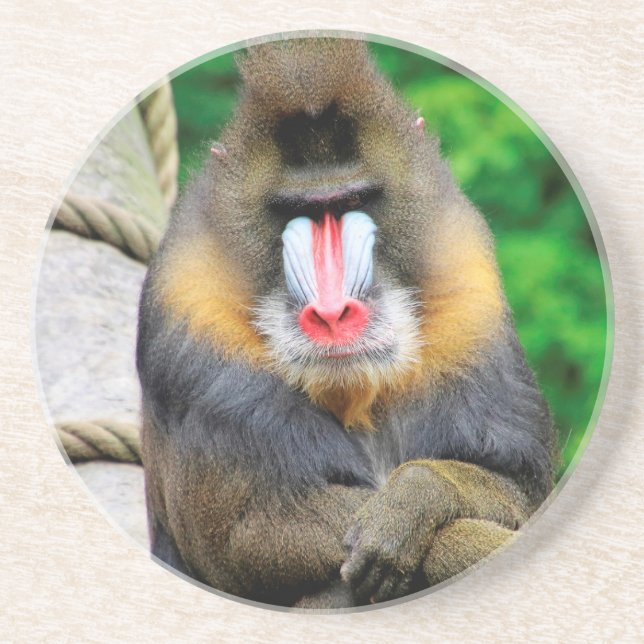 Porta-copos Mandrill 001 (Frente)