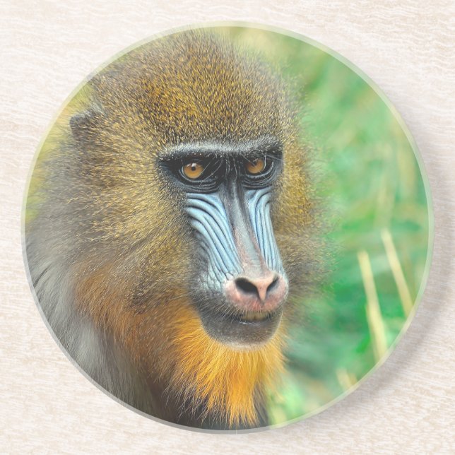 Porta-copos Mandrill 002 (Frente)