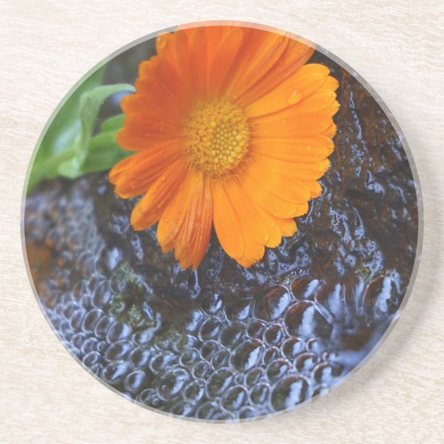 Porta-copos Marigold Flower Fotografia (Frente)