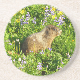 Porta-copos Marmot no Monte Rainier Wildflower
