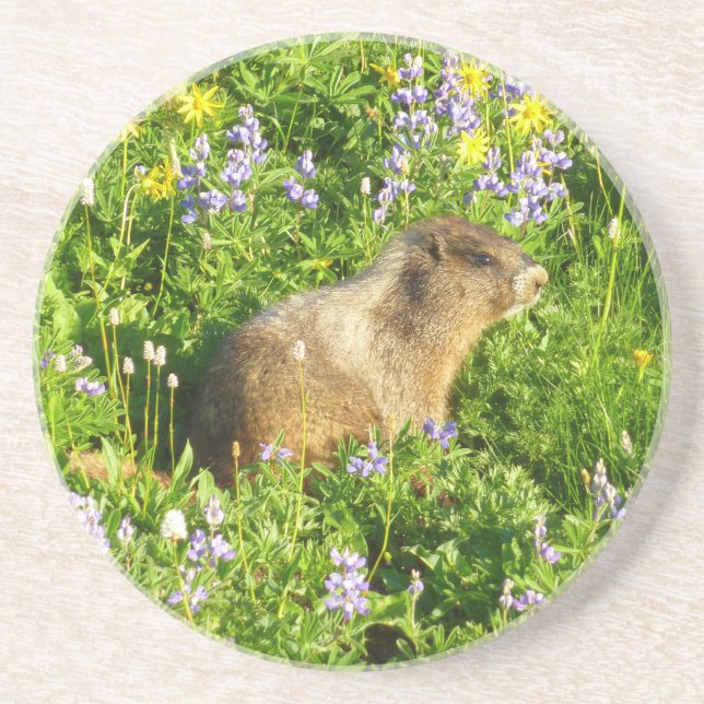 Porta-copos Marmota em Flores Silvestres do Monte Rainier (Frente)