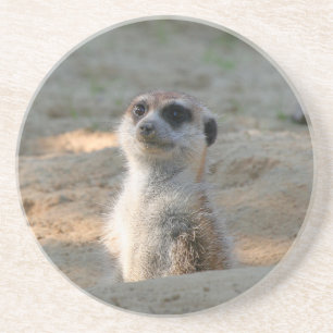 Porta-copos Meerkat 004