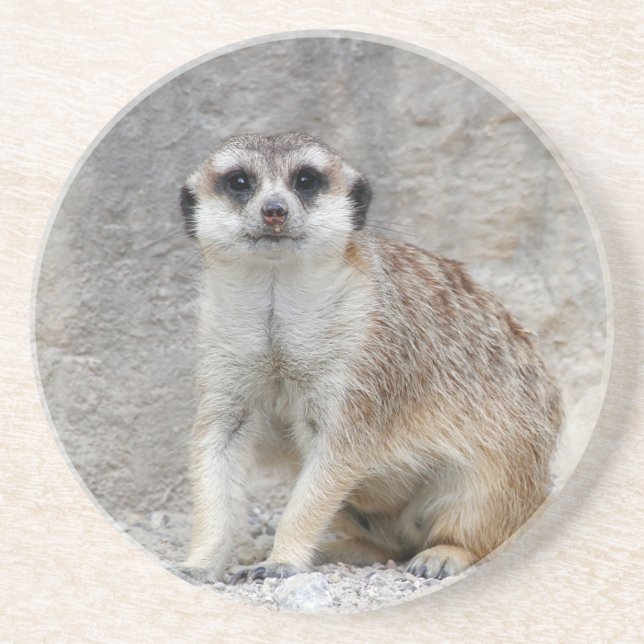 Porta-copos Meerkat 134 (Frente)