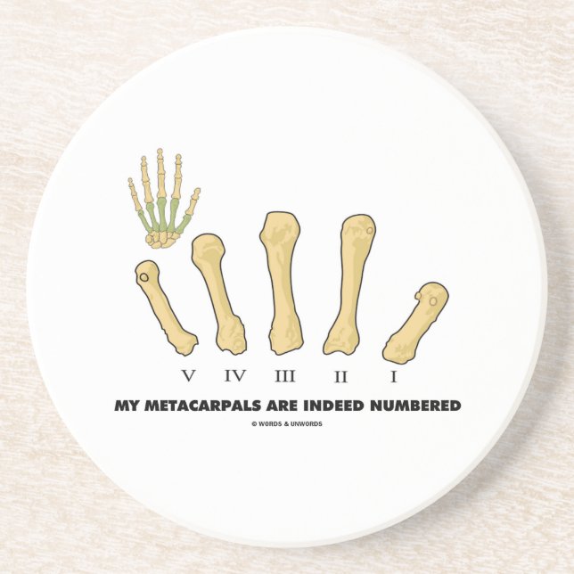 Porta-copos Meu Metacarpals é numerado certamente (a anatomia) (Frente)
