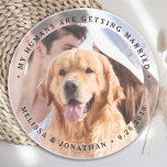 Porta-copos Meus Humanos Estão Casando Foto De Cachorro De Noi<br><div class="desc">Celebre seu noivado e dê ao único casamento de cães salve as datas com esta foto personalizada, e personalize o casamento 'Meus Humanos estão se casando', salve a porta copos da data. Personalize com suas fotos, nomes e data favoritos. Esta porta copos personalizada de casamento de fotos é perfeita para...</div>