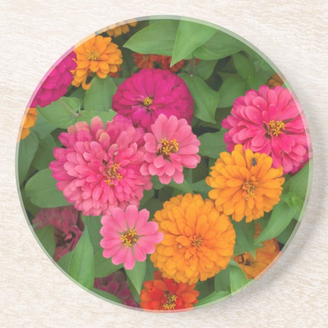 Porta-copos Michigan, Dearborn, Greenfield Village.Close up (Frente)