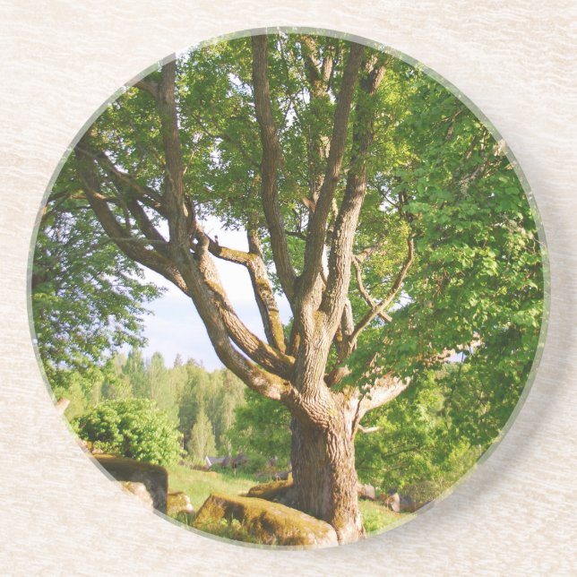 Porta-copos Midverão Light Småland (Frente)