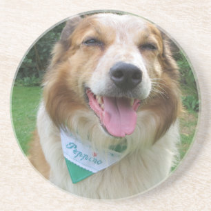 Porta-copos mistura de collie de borda