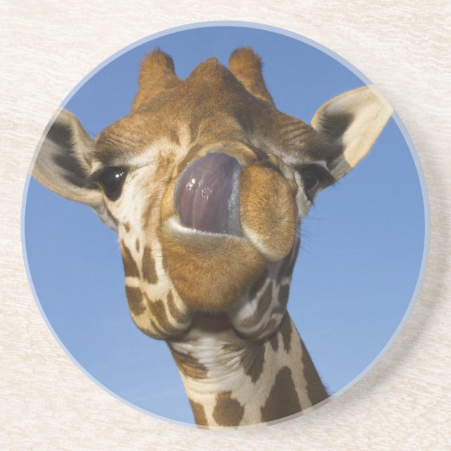 Porta-copos Mmmm Mmmmm bom (Frente)