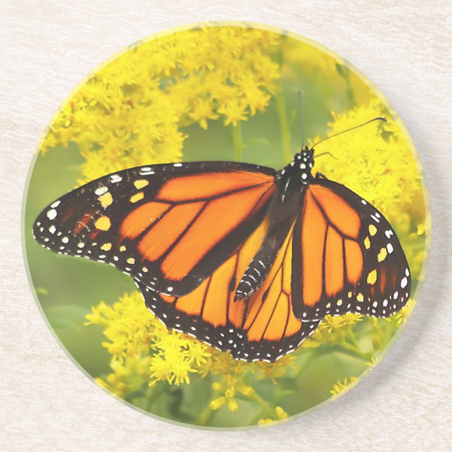 Porta-copos Monarca de Goldenrod (Frente)