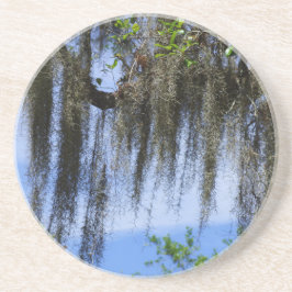 Porta-copos Moss Espanhol nas Montanhas Blue Ridge