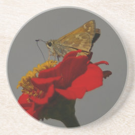 Porta-copos Moth