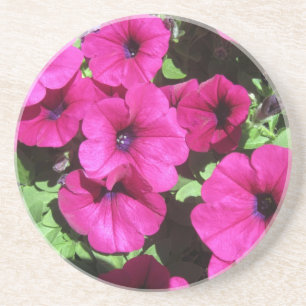 Porta-copos Muitas Petunias Puras