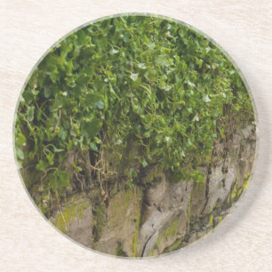 Porta-copos Muro De Ivy