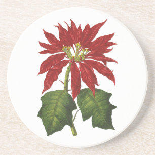Porta-copos Natal Antigo, Planta de Inverno Poinsettia Vermelh