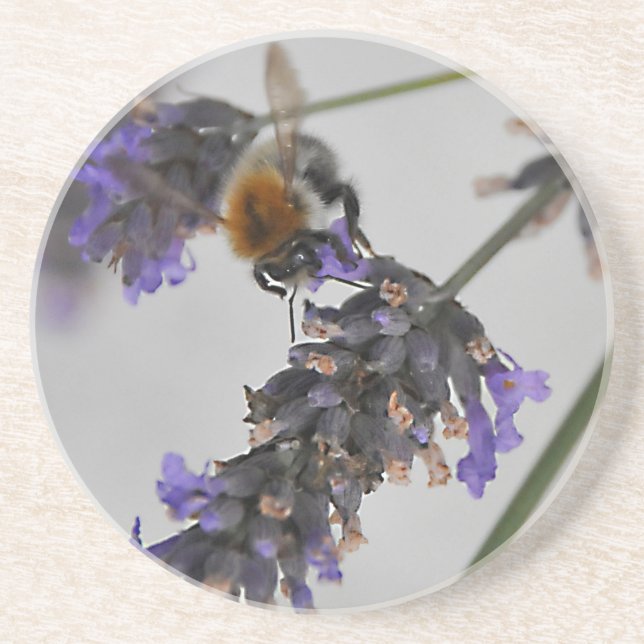 Porta-copos Natures WonMaravilha Workers (Frente)