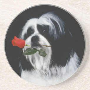 Porta-copos O cão de Shih Tzu