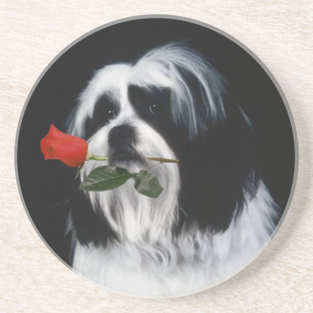 Porta-copos O cão de Shih Tzu (Frente)