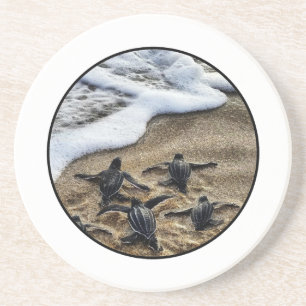 Porta-copos O instinto recém-nascido