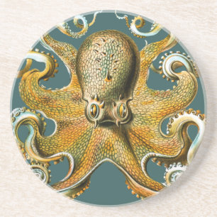 Porta-copos O polvo de Ernst Haeckel