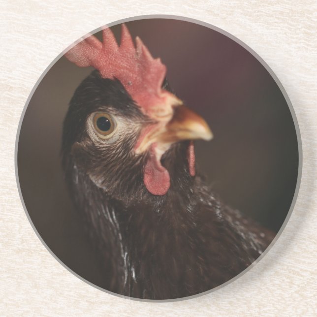 Porta-copos O quê? (Frente)