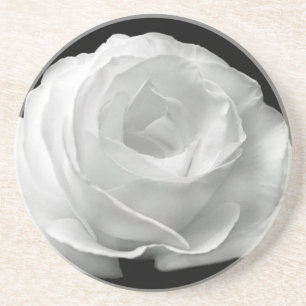 Porta-copos O rosa branco floresce arte do amor da paz do