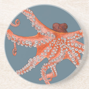 Porta-copos Octopus Hugs