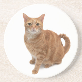 Porta-copos Orange Cat
