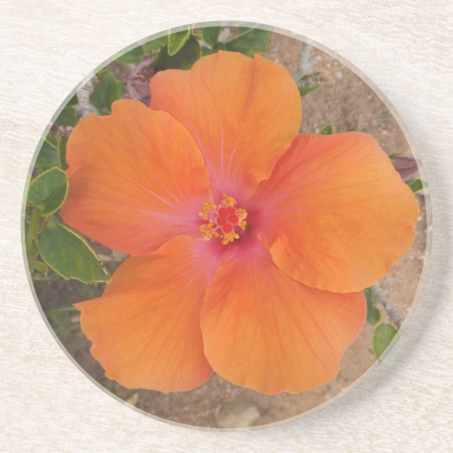 Porta copos Orange Hibiscus (Frente)