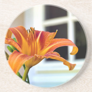 Porta-copos Orange Tiger Lily