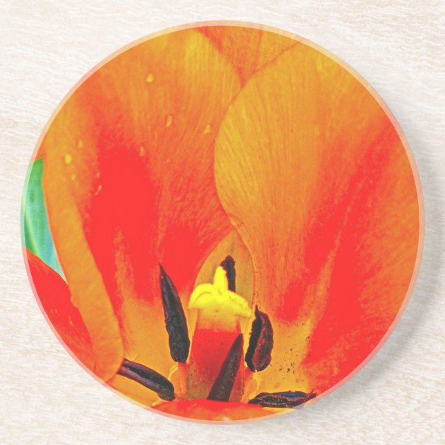 Porta-copos Orange Tulip (Frente)