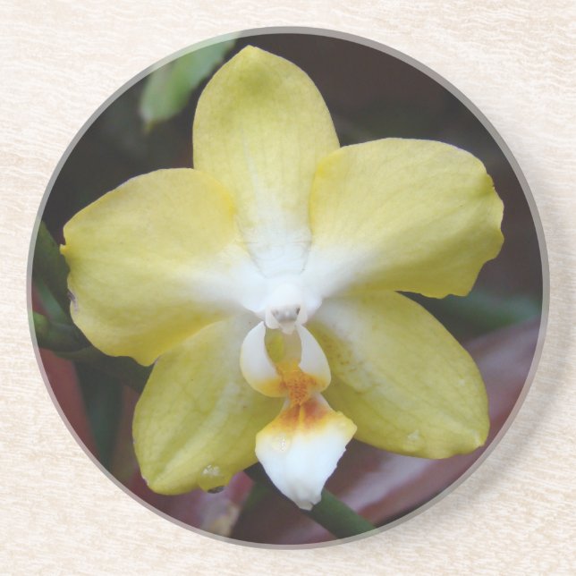 Porta-copos Orquídea Amarela adorável (Frente)