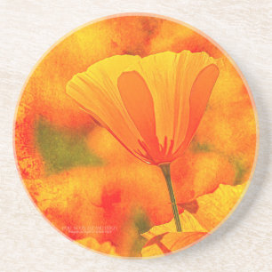 Porta-copos Ouro Orange California Poppy "Land Of Orange"