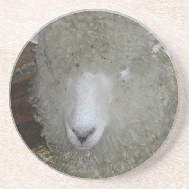 Porta-copos Ovinos na feira do condado (Frente)