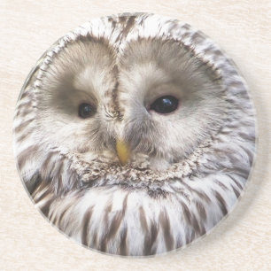 PORTA-COPOS OWL