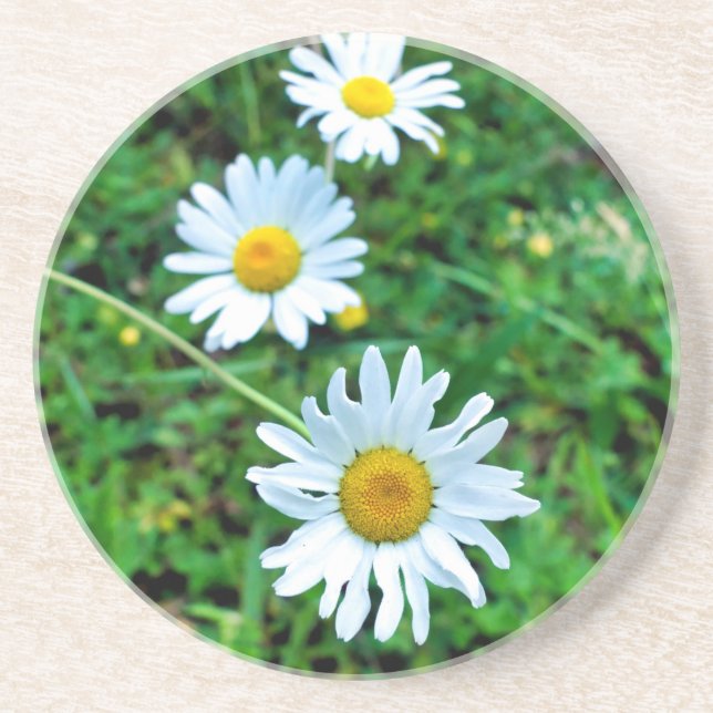 Porta-copos Ox-Eye Daisies (Frente)