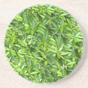 Porta-copos Padrão de Folhas Verde Lush - Botânica da Natureza