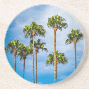 Porta-copos Palm Trees em San Diego, Califórnia