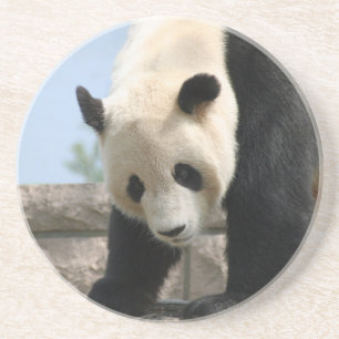 Porta-copos Panda20170506_by_JAMFoto