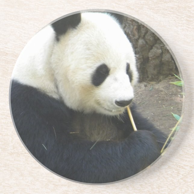 Porta-copos Panda Coater (Frente)